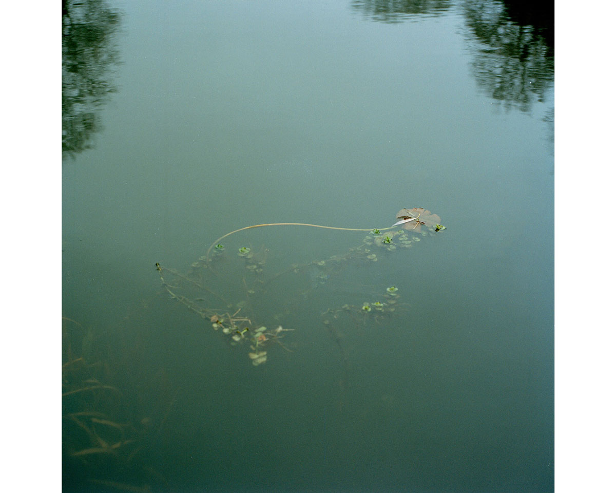 Eva Watkins Synchronised Swimming
