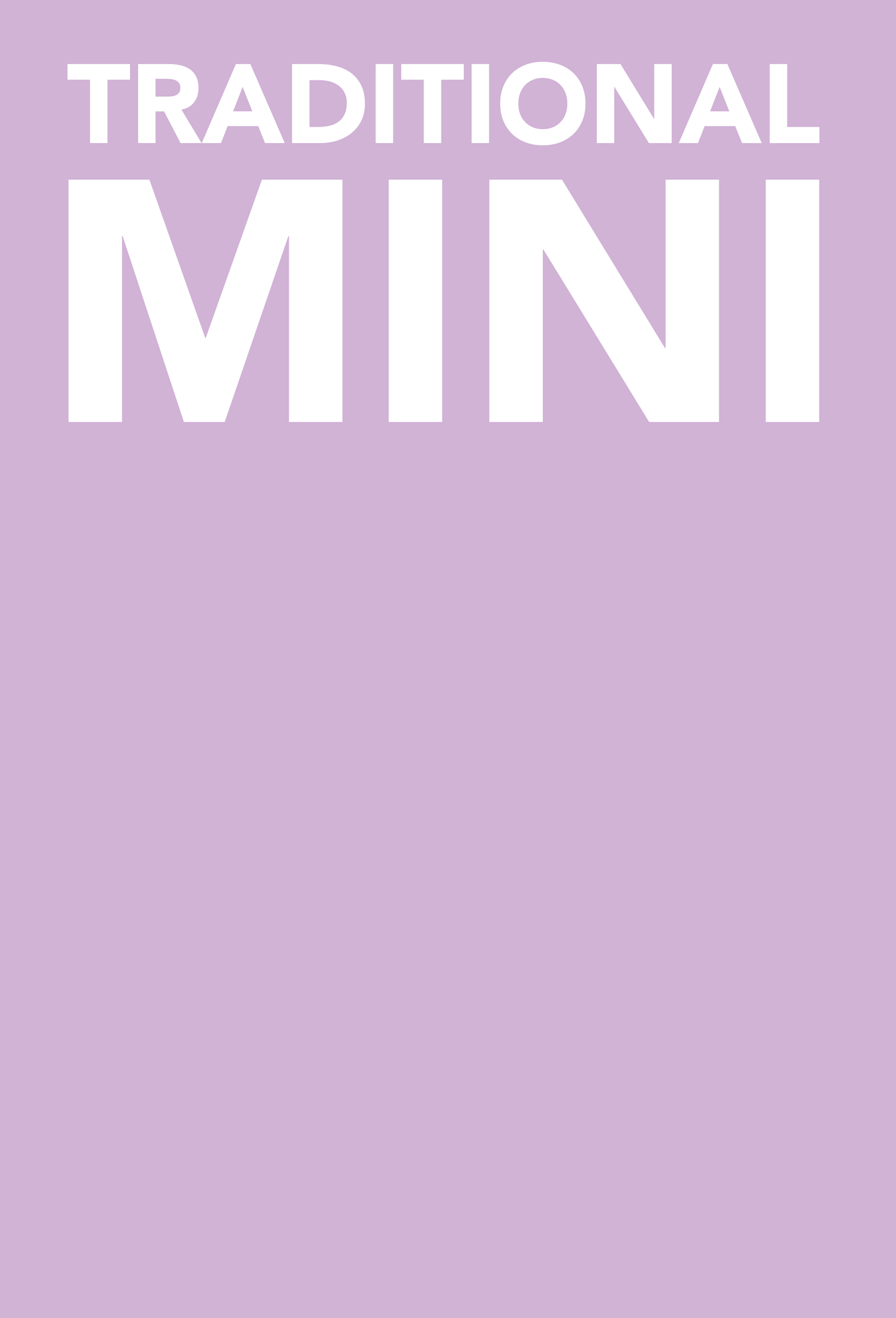 Front cover of blank Traditional Mini template